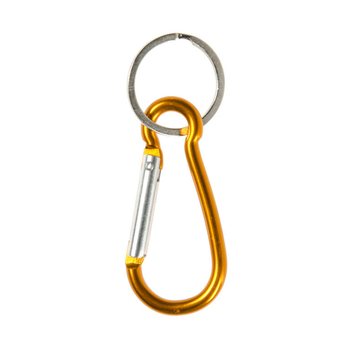 KEYCHAINS BIL-KARABINER (48 biċċa)