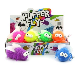 PUFFER FLY FIL-KAXXA DISPLAY (12-il biċċa)