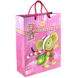 BOROŻ GĦALL-IPPAKKJAR TAL-MILIED 10 x 25.5 x 33.5 CM (6 biċċiet)