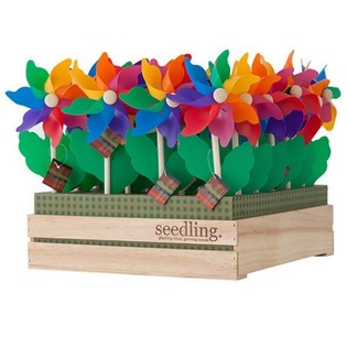 SEEDLING - WINDMILLS F'DISPLAY (20 biċċa)