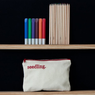 SEEDLING - IDDISINJA L-ASTUCCJU TIEGĦEK (1 biċċa)