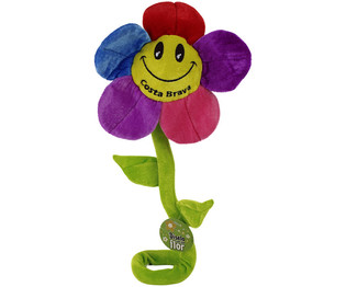 Fjura kbira tal-filpa, 60 cm - Costa Brava (27 biċċa)