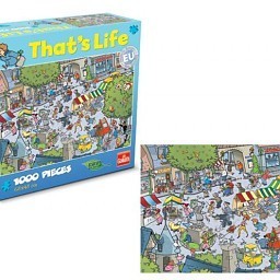 Puzzle That’s Life - Village, 1000 biċċa (1 pc.)