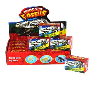 SET ŻGĦIR TA' ARKEOLOĠI F'DISPLAY (12-il biċċa)